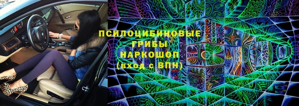 кокс Алексин