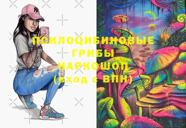 ECSTASY Алзамай