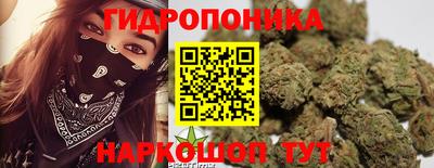 герыч Кингисепп
