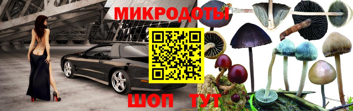 Курск  как найти закладки  Вход с VPN  Галлюциногенные грибы Cubensis 