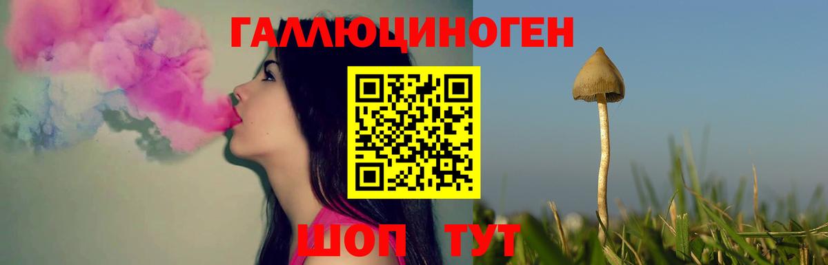 Галлюциногенные грибы GOLDEN TEACHER Курск